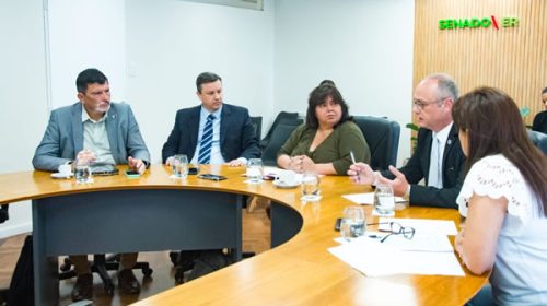 El Senado analizó en Comisiones proyectos relacionados a justicia, salud y ambiente El Senado analizó en Comisiones proyectos relacionados a justicia, salud y ambiente