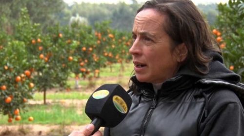 La presidente de la FeCiER se refirió a la Jornada Citrícola y las expectativas del sector para 2026