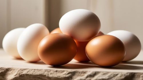 Argentina es el mayor consumidor de huevos del mundo y crece la producción