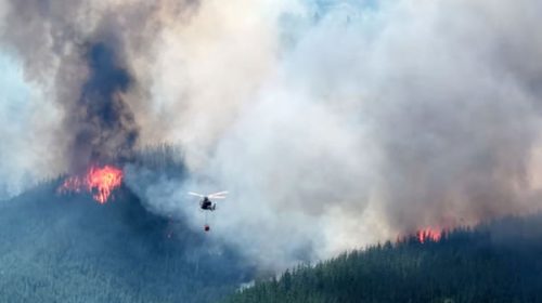 La Patagonia bajo fuego: dónde están los focos activos y qué zonas están más afectadas La Patagonia bajo fuego: dónde están los focos activos y qué zonas están más afectadas