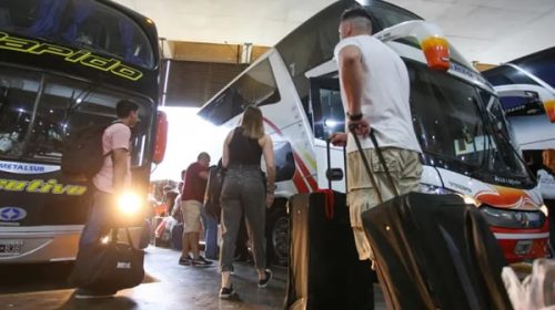 Desregulación en micros de larga distancia: empresas podrán elegir cómo identificar valijas