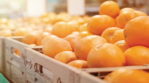 Acuerdo con Estados Unidos: el citrus entrerriano como gran ausente