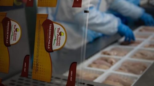 Productores avícolas de Entre Ríos, en alerta