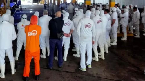 Trabajadores paralizan la faena en Granja Tres Arroyos