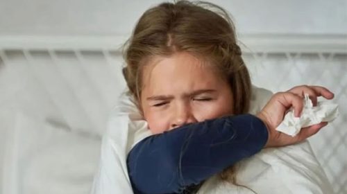 Fuerte suba de la tos convulsa en 2026: 3340% más que el promedio de años previos
