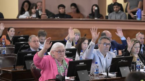 Media sanción a la creación de la Comisión Permanente de Seguimiento de la Deuda Pública