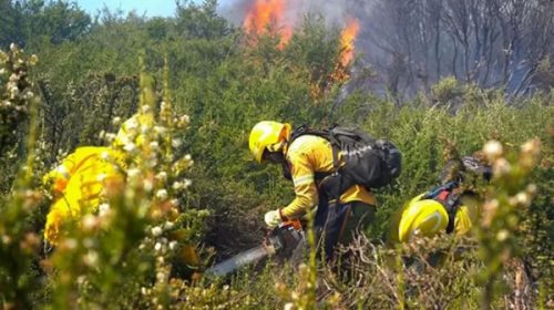 Neuquén prorroga la emergencia ígnea por un año en medio de incendios forestales