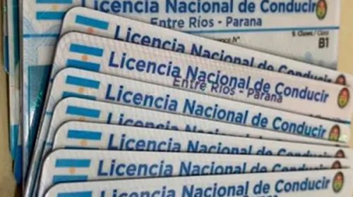 Los deudores alimentarios no podrán obtener licencias de conducir profesionales