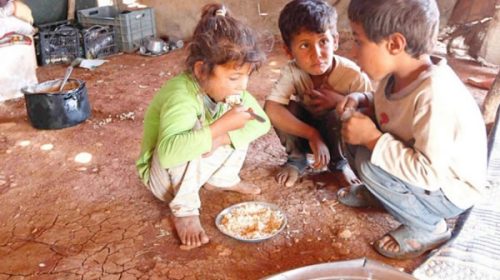 Científicos argentinos realizaron un mapa que muestra el sobrepeso y el retraso de crecimiento en niños