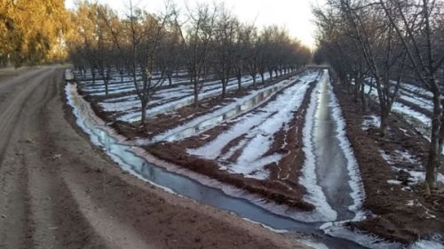 Declaran la emergencia agropecuaria en Chubut, Santa Cruz y zonas de Mendoza