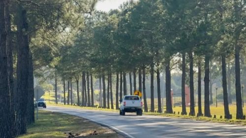 Preocupa en Federación la seguridad vial en la ruta 44