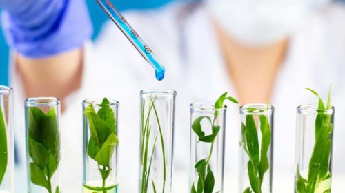 Eliminan restricciones para el patentamiento de desarrollos biotecnológicos