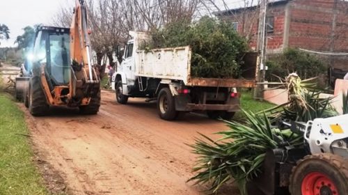 Son más de 400 los pedidos de asistencia recibidos en Concordia tras el temporal del sábado