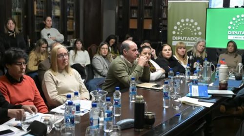 Reforma previsional en Entre Ríos: Diputados emitió dictamen de mayoría