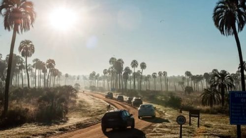 Informe revela el deterioro de los parques nacionales de Entre Ríos: menos personal, una infraestructura deteriorada, pero concesiones hasta 2043 Informe revela el deterioro de los parques nacionales de Entre Ríos: menos personal, una infraestructura deteriorada, pero concesiones hasta 2043