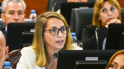 Stratta adelantó que el bloque Más para Entre Ríos votará en contra de la reforma previsional