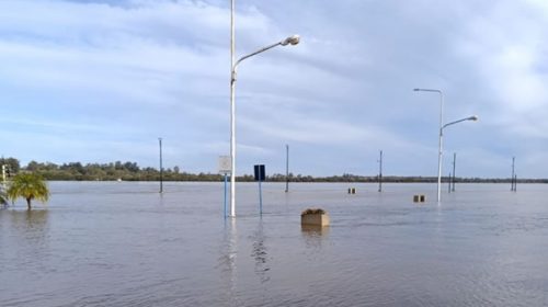 CTM informó que el río seguirá creciendo y podría acercarse al nivel de alerta CTM informó que el río seguirá creciendo y podría acercarse al nivel de alerta