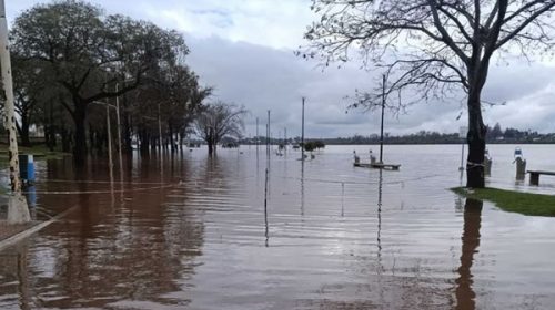 El río Uruguay alcanzó su nivel máximo y anticipan cuándo comenzará a descender El río Uruguay alcanzó su nivel máximo y anticipan cuándo comenzará a descender