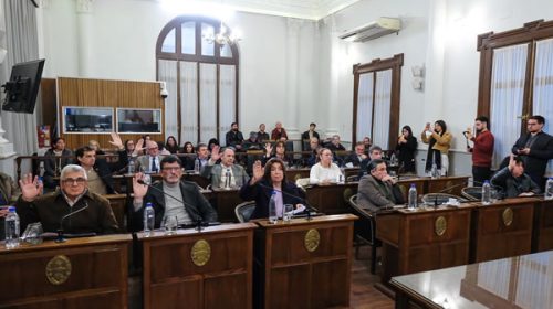 El Senado convirtió en ley la reglamentación del artículo 60 de la Constitución