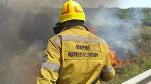 Bomberos Voluntarios de Concordia se suman al sirenazo reclamando fondos retenidos por Nación