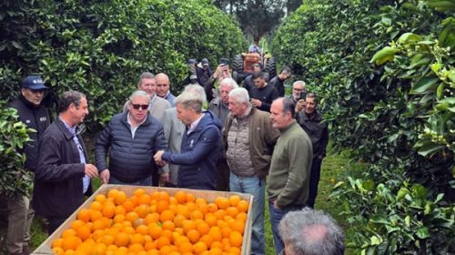 Los productores de citrus esperanzados tras la reunión con Frigerio