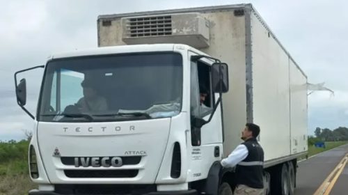 Senasa decomisó una carga irregular de 400 kg de pescado de río en la Ruta Nacional 14 en Entre Ríos