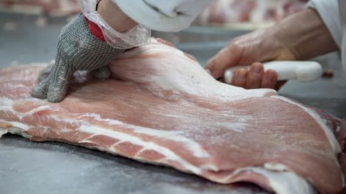 Casi el 70% de la producción entrerriana de carne porcina se faena fuera de la provincia Casi el 70% de la producción entrerriana de carne porcina se faena fuera de la provincia