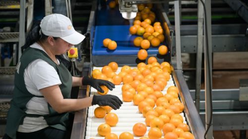 Frigerio recibió planteos del sector citrícola sobre legislación laboral y control sanitario Frigerio recibió planteos del sector citrícola sobre legislación laboral y control sanitario