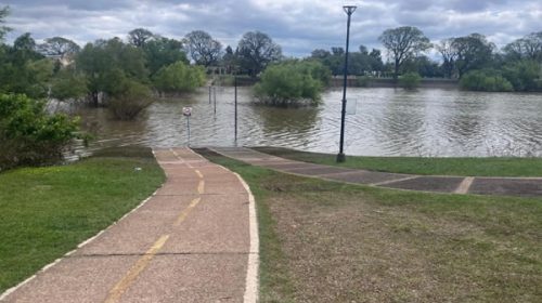 El río Uruguay presentará un nuevo ascenso pero se mantendrá alejado de los niveles de alerta