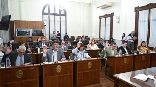 Pese al rechazo del PJ, el Senado aprobó la creación de la Comisión de Seguimiento de la Deuda Pública